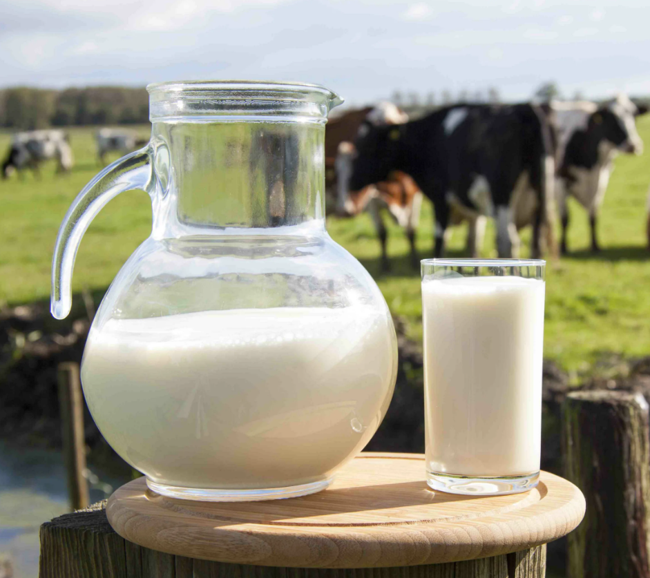 Молоко занявшее первое место. Коровье молоко. Молоко фото. Молоко российских производителей красивые картинки. Корова и что она дает мясо молоко творог.